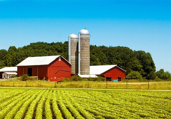 RURAL LOANS